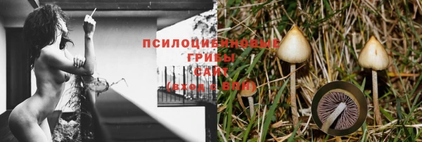 mix Алексин