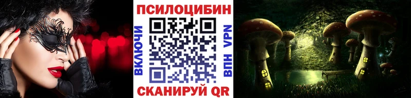 Псилоцибиновые грибы Psilocybe Искитим